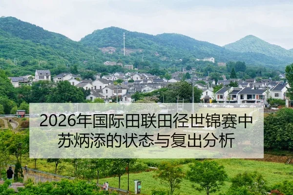 nian-guo-ji-tian-lian-tian-jing-shi-jin-sai-zhong-su-bing-tian-de-zhuang-tai-yu-fu-chu-fen-xi-1-280.jpg